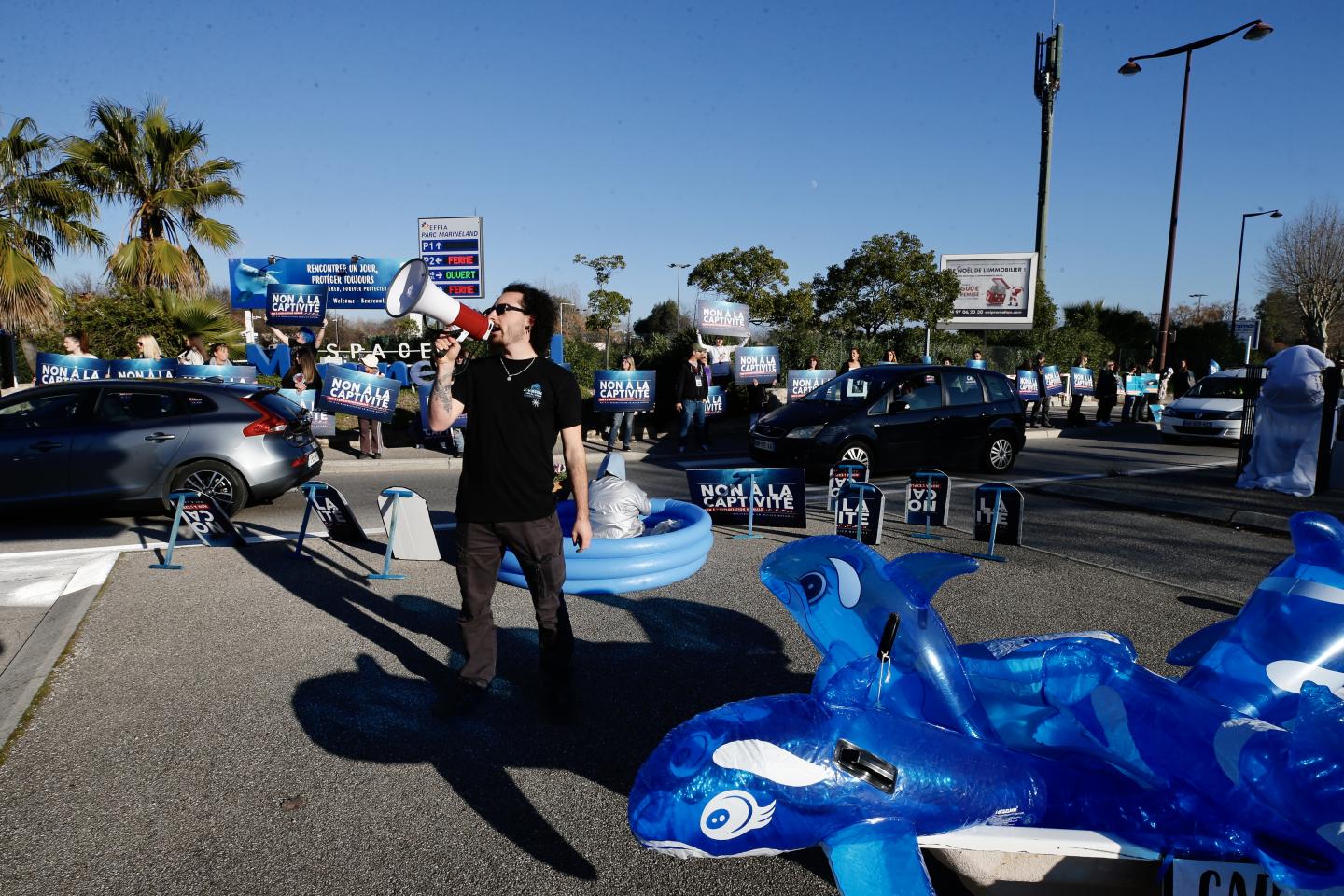 marineland protest